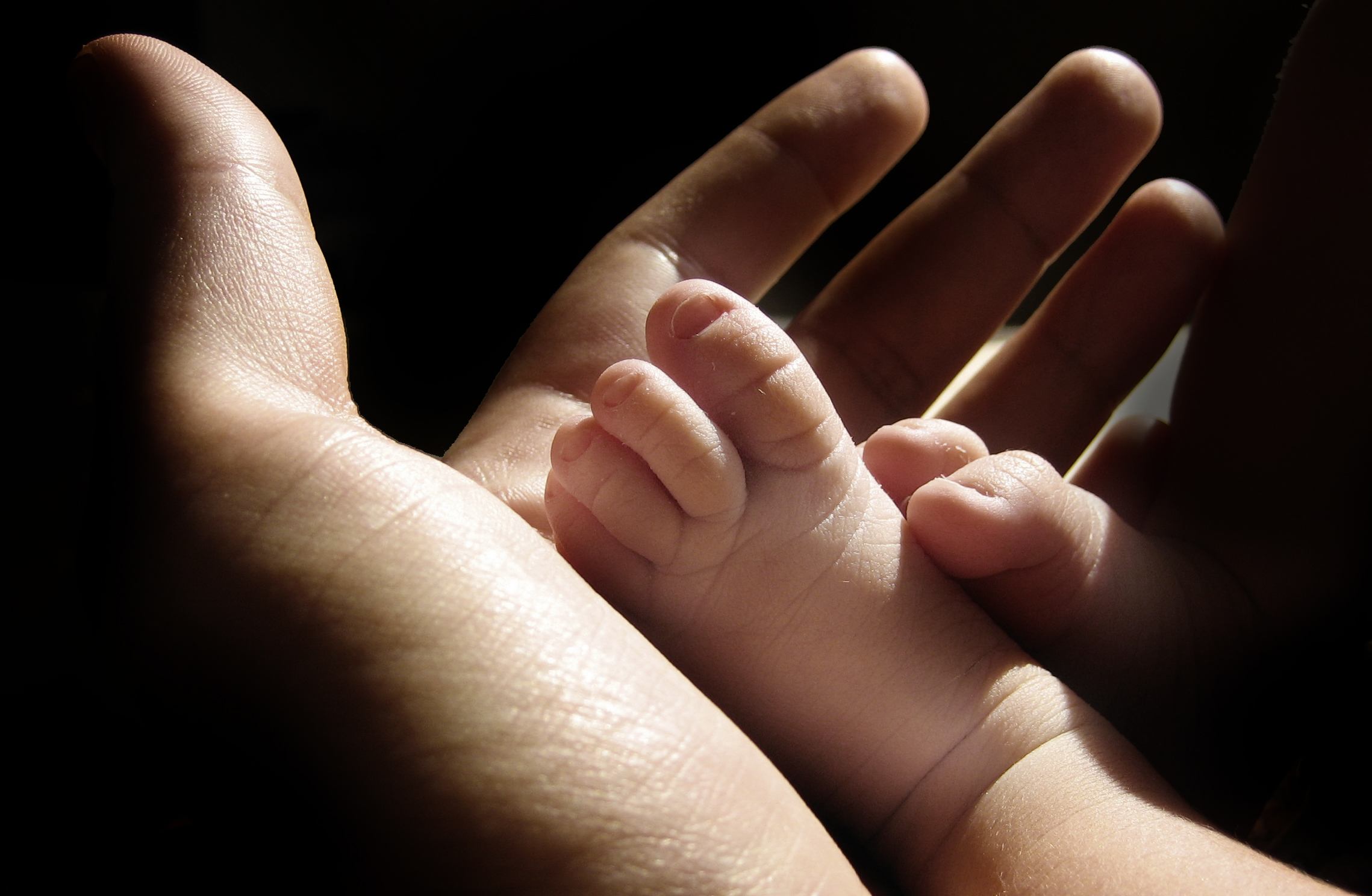 utebliven mens orsaker inte gravid utebliven mens orsaker inte gravid